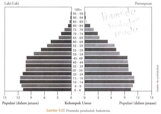 Macam Macam Bentuk Piramida Penduduk Dinamika Penduduk The Best Porn