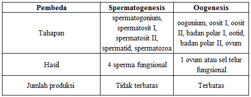 Pernyataan Yang Menunjukkan Perbedaan Spermatogene