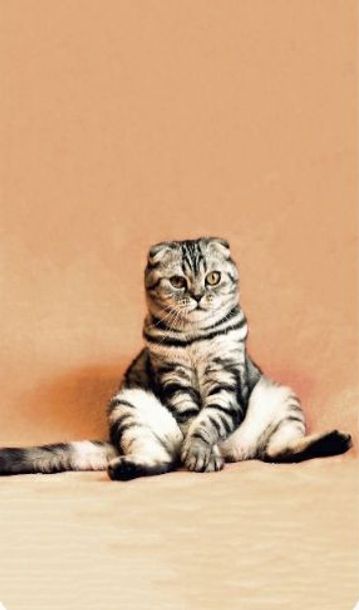 Interval sangat berhubungan erat dengan tangga nad...