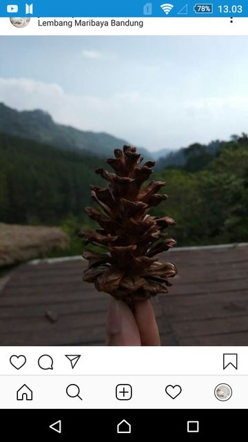 Kerukunan umat beragama pada masa kerajaan Majapah...