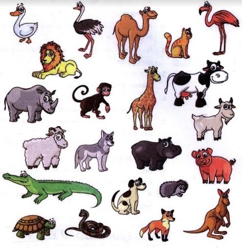 Name and classify the following animals into Domes...