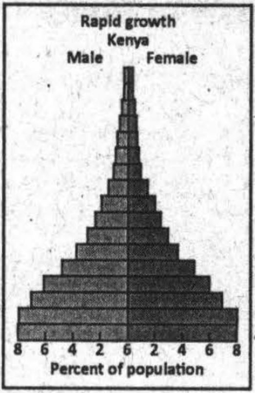 Perhatikan Gambar Piramida Penduduk Berikut!