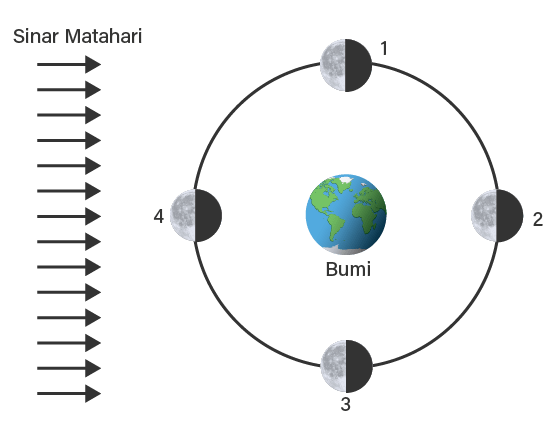 Perhatikan Gambar Berikut. Bulan Baru Terjad...