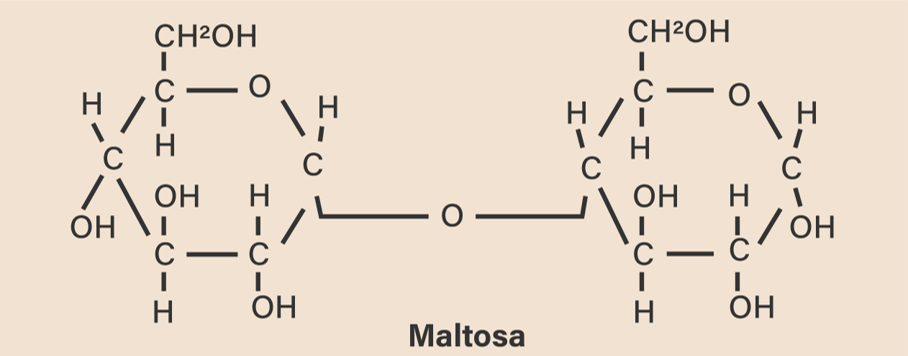 Tuliskan Rumus Struktur Dari Senyawa Sukrosa Malt 