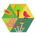 TKA Biologi