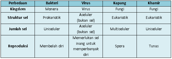 Jelaskan Perbedaan Antara Bakteri Virus Kapang D