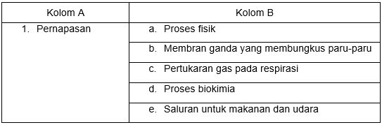 Pasangkan Kolom A Dengan Kolom B