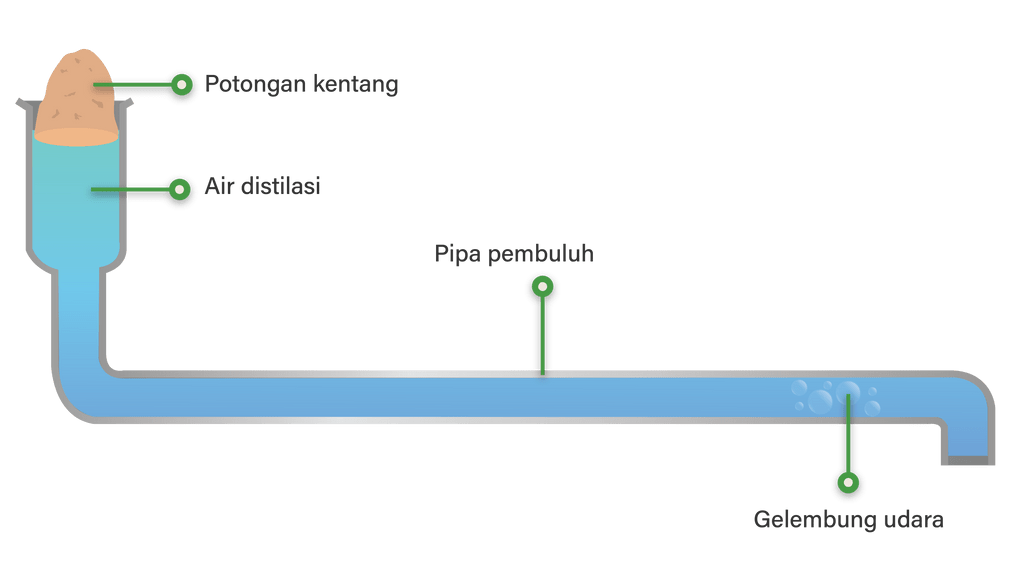 Perhatikan Gambar Rangkaian Percobaan Berikut!