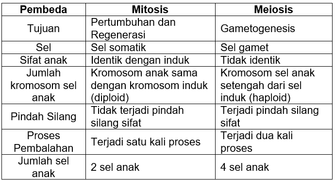 Tabel Perbedaan Meiosis Dan Mitosis