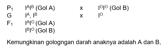 Kemungkinan Fenotipe Golongan Darah Anak-anak Yang...