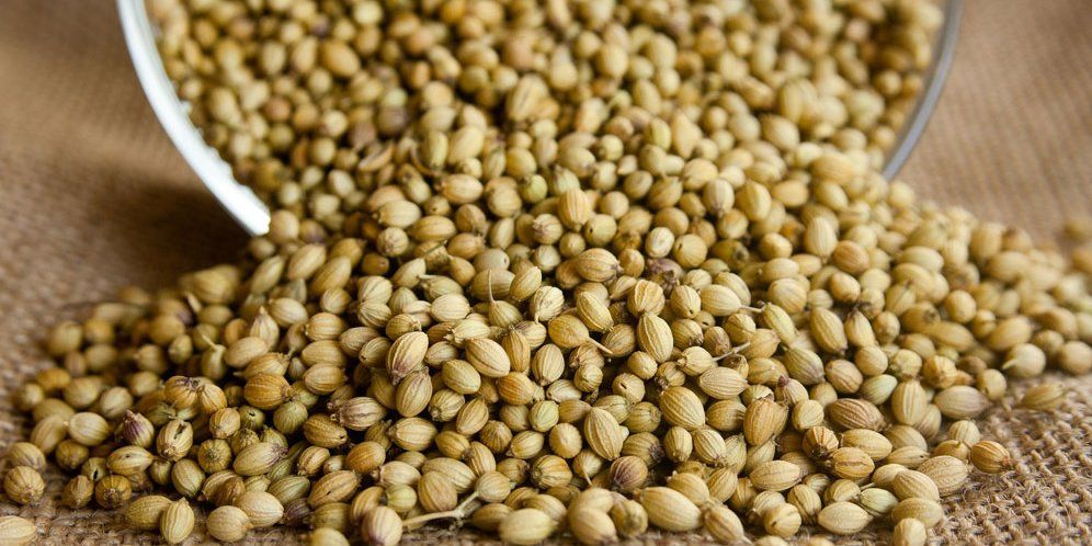 Description: C:\Users\user\Pictures\Ruangguru\Robobuku 4 Mar\Rempah ketumbar.jpg