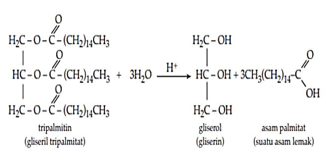 Tuliskan Reaksi Hidrolisis Darigliseril Tripalmita