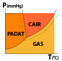 Grafik P-T