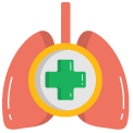 Cara Memelihara Organ Pernapasan Manusia