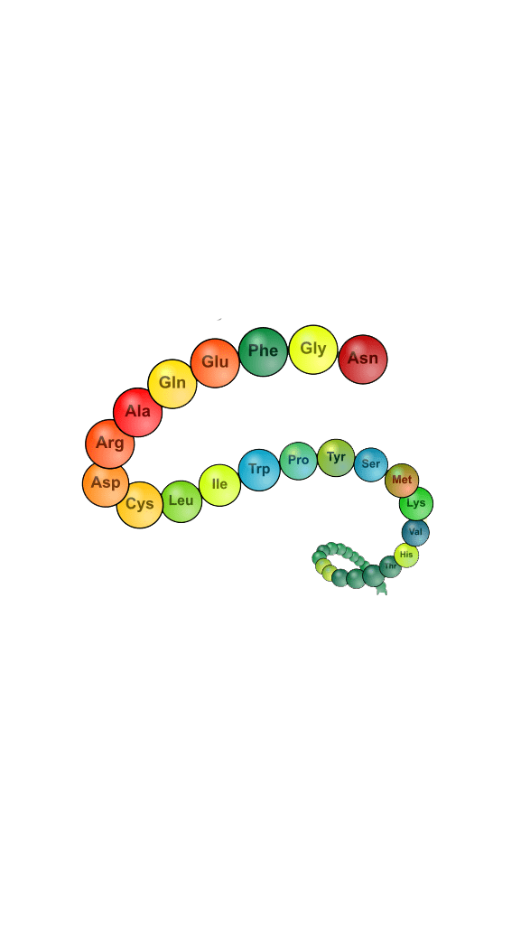 Bài 11: Peptit và Protein