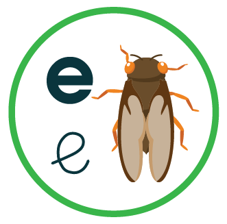 Bài 1: e
