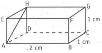 Diberikan balok ABCD.EFGH dengan AB = 2 cm ,BC= 2 ...