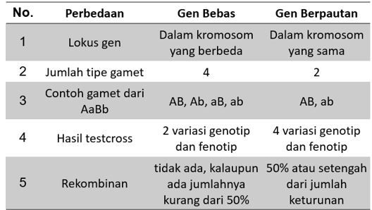 Perhatikan tabel perbedaan gen bebas dan gen berpa...