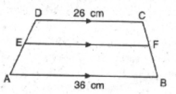 trapesium