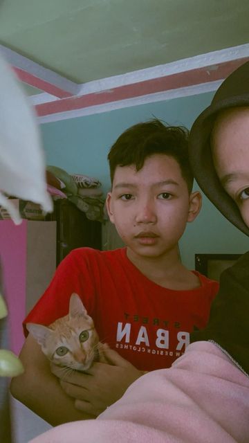 Gajah Terbang Nampak Apanya